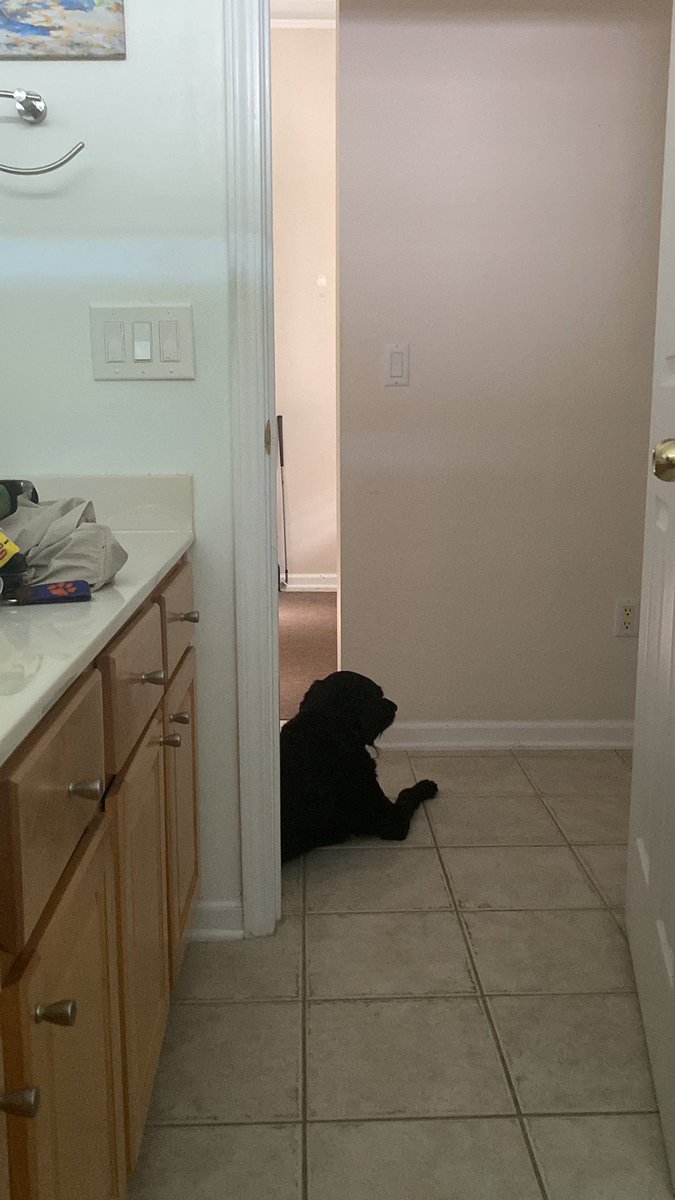 harrycrouch69's tweet photo. Rents are gone for the weekend. Calls for a door wide open dump. https://t.co/f0nPZbvCmv