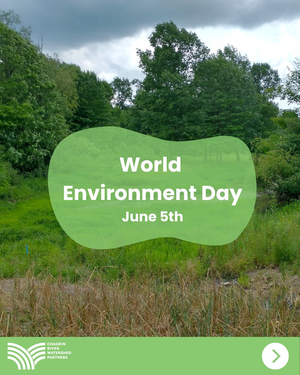 chagrin_river's tweet photo. Today, June 5th, is World Environment Day! It is a day that celebrates the beauty and importance of our planet’s natural resources while encouraging awareness and action to protect the environment.

#WorldEnvironmentDay #ChagrinRiverWatershedPartners #NortheastOhio #Watershed https://t.co/gsTBjFfn2s