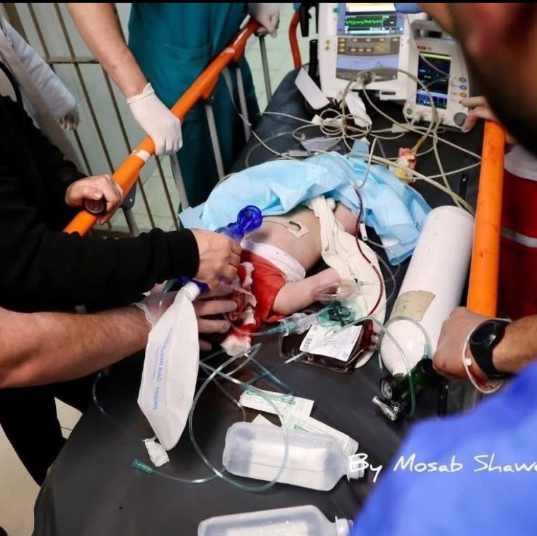 Gaza Notifications tweet media