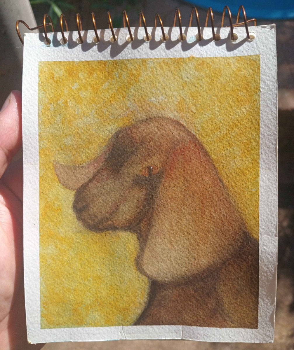 fantis_arts's tweet photo. goat watercolor https://t.co/HPWKefEnjp