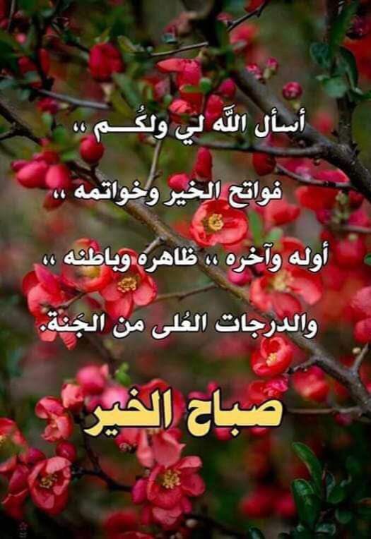 FAlSAL56's tweet photo. #صباح_الخير_والسعاده_للجميع🌹 
صباح الفرح والسرور على الجميع 🌹 https://t.co/itzdxwL2Vt