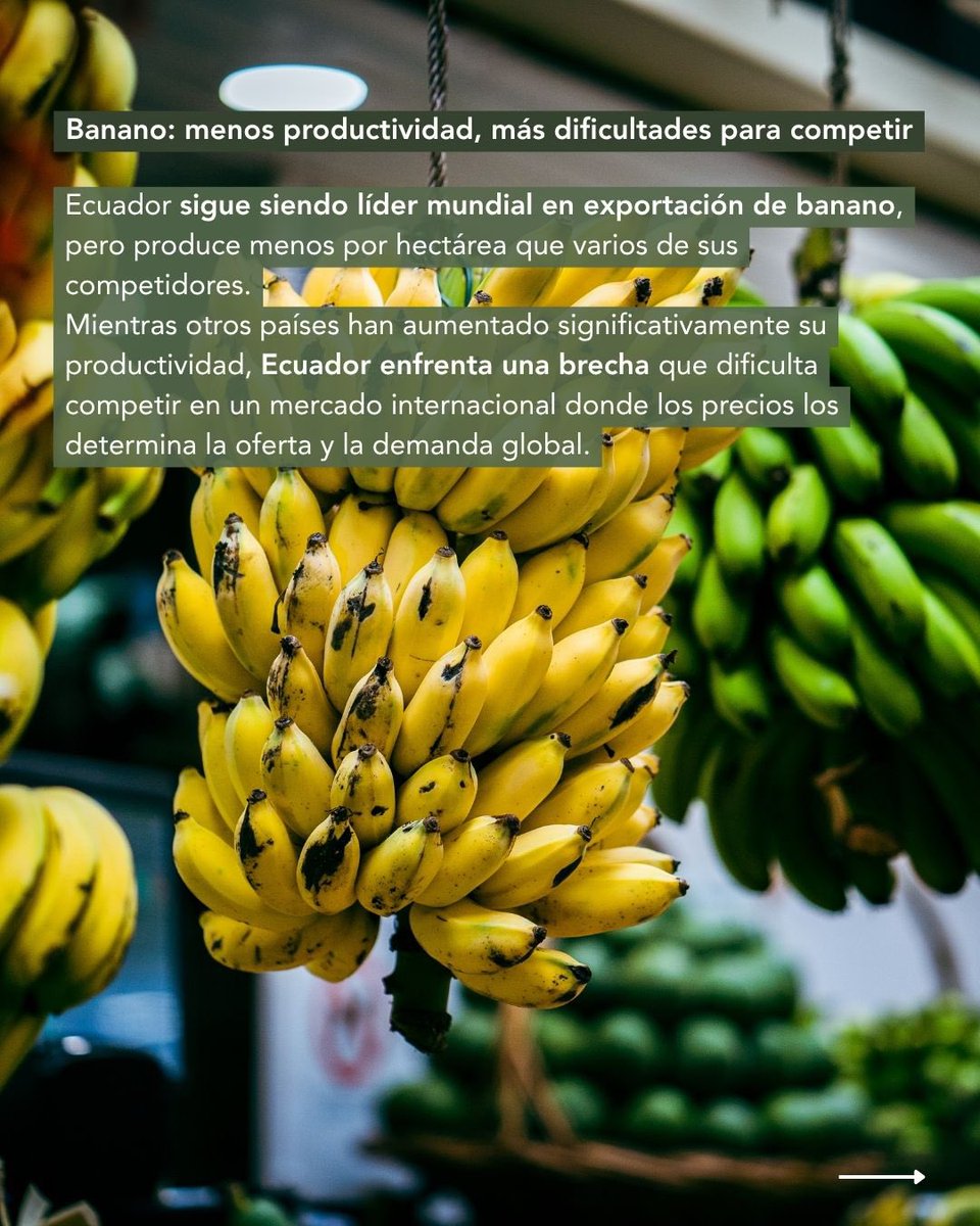 PostgradoUEES's tweet photo. 🌽📈 ¿Qué ocurre cuando los precios se fijan por ley en mercados que no controlamos?

📖 Lee el artículo completo y descubre una perspectiva sobre uno de los debates económicos más importantes del país.

🔗 Más artículos aquí: https://t.co/ymTdG20SSr https://t.co/rsABe4iwl1