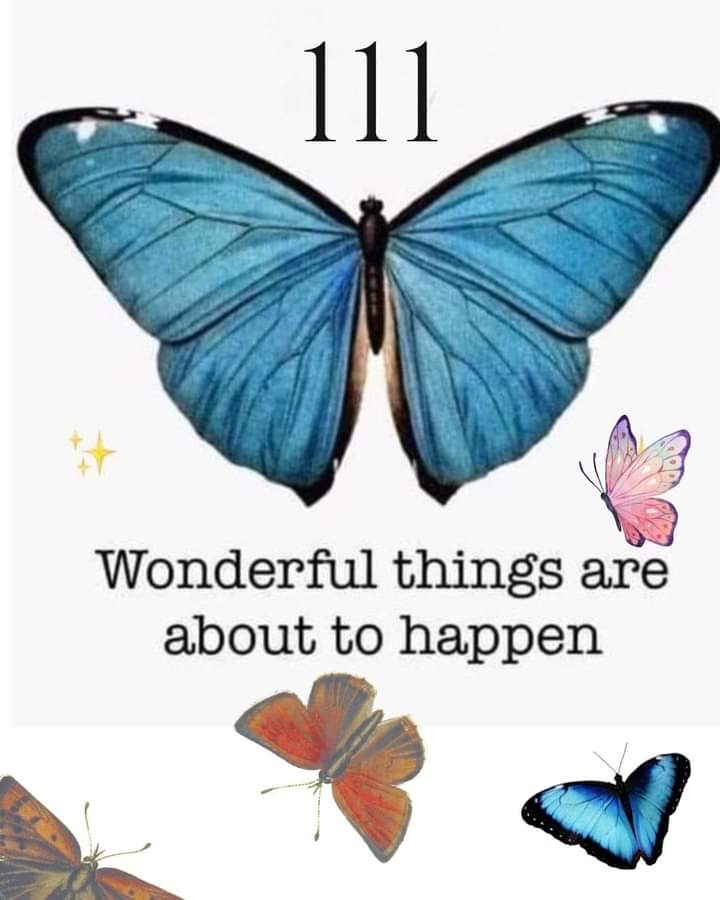 Manifest Your Higher Self💫 tweet media