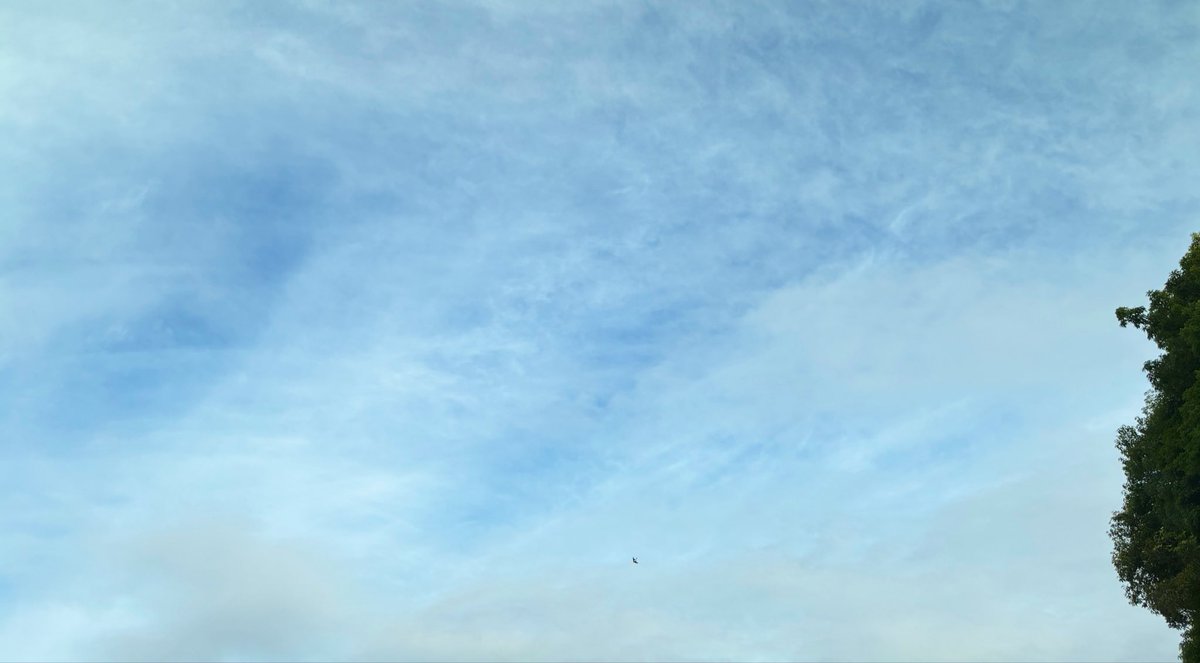 WhenceGallup's tweet photo. 『爽快』
見上げれば広がる淡い青
このイマソラのように
心にも風が吹き抜ける

溜め込んだ昨日を脱ぎ捨てて
深呼吸ひとつ
新しい今日の光を吸い込む
境界線なんてないみたいに
どこまでも澄み渡っていく
#爽快 #始まり https://t.co/1nBxmlIuTW