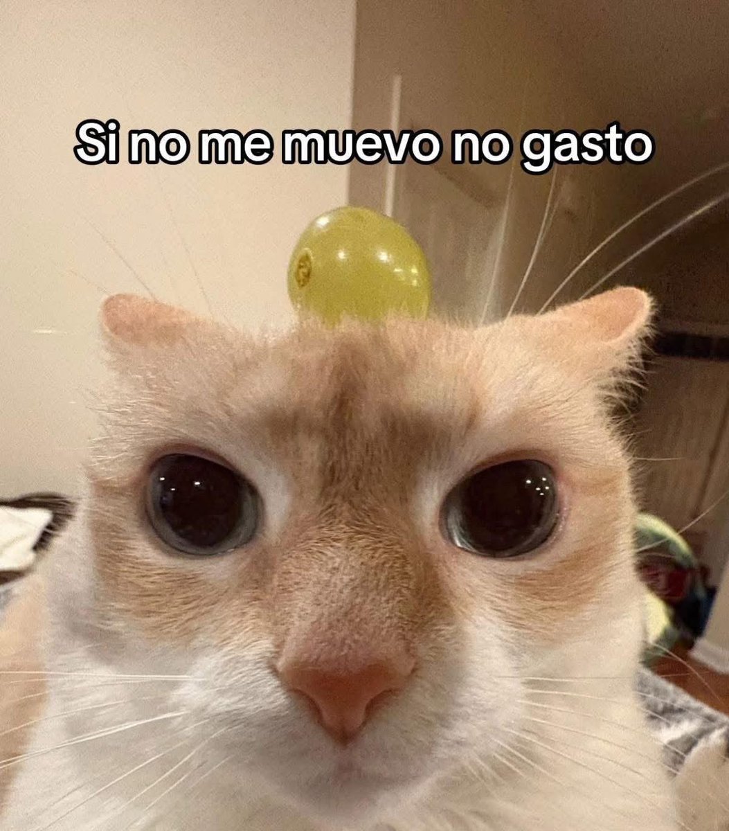 ElJeringasLoko's tweet photo. https://t.co/xDk8kVOIWR