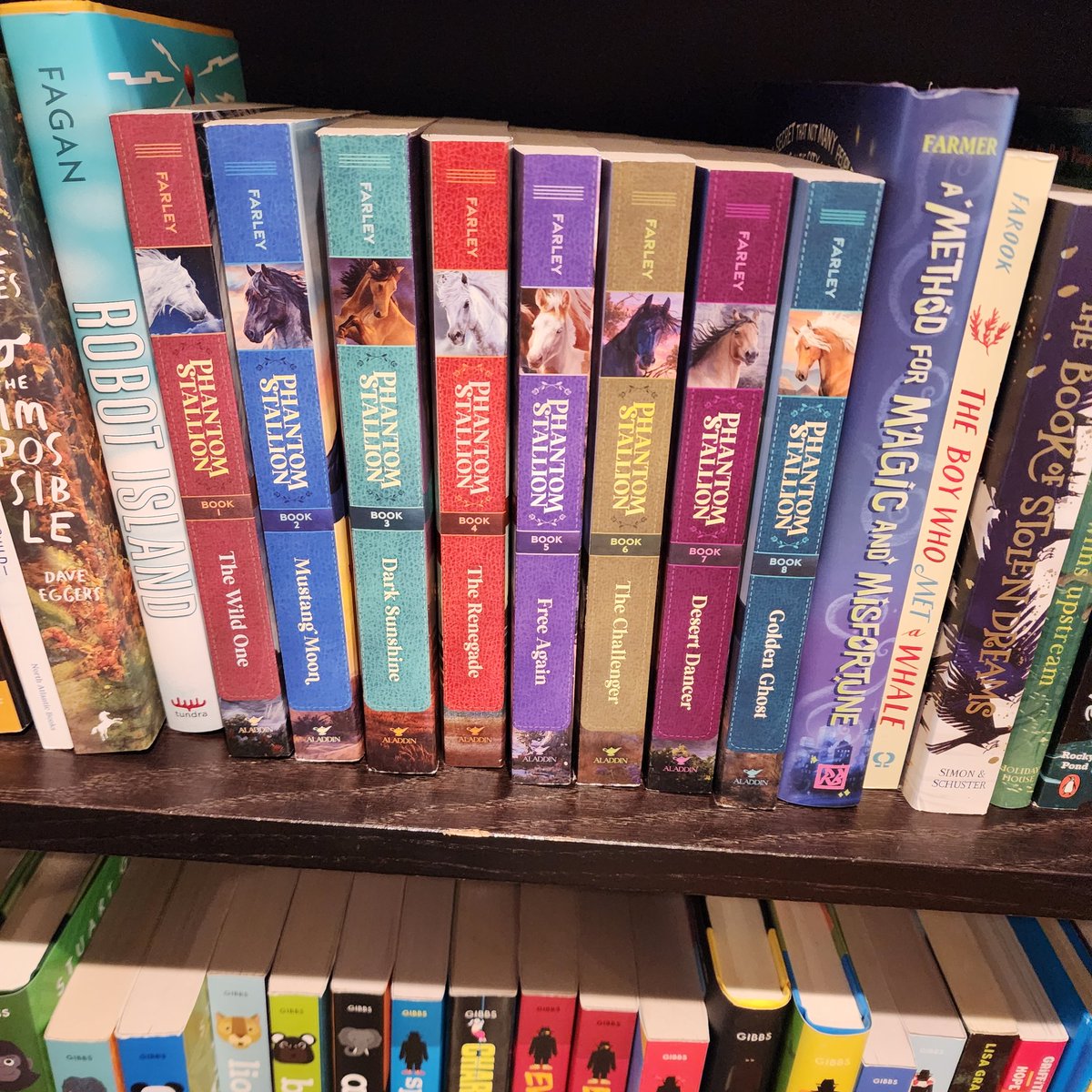 PollyHolyoke's tweet photo. So fun to see so many of @Terri_Farley 's books at the @griffinbay bookstore on San Juan Island! #horsebooks #phantomstallion https://t.co/8xOEYMRWYK