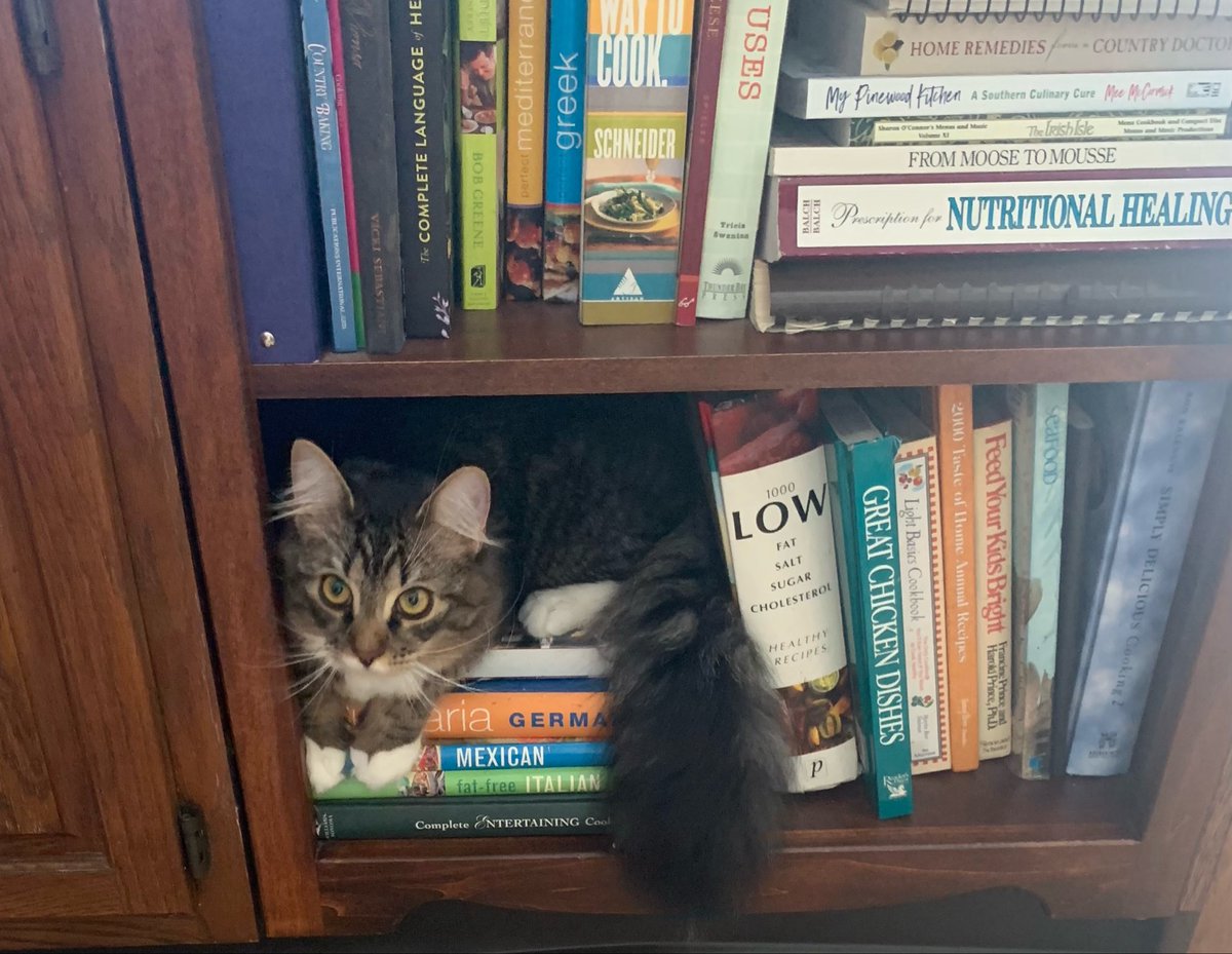 KObregonWriter's tweet photo. Ok ignore the very outdated low fat, low salt cookbook that I need to get rid of, but isn't he the cutest cookbook ever? https://t.co/GimHwmJQD3