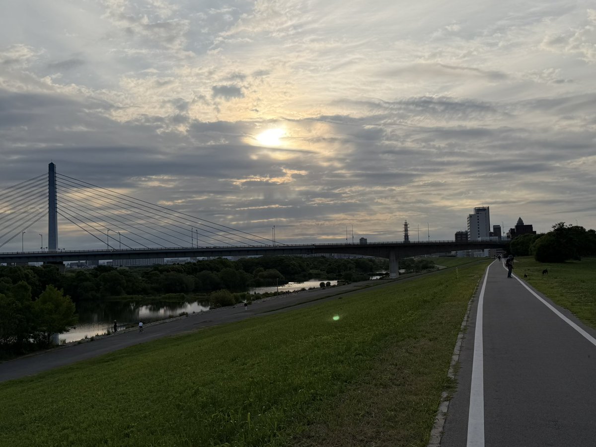 NATTYMAN's tweet photo. おはようございます！
土曜日はソーシャルディスタンシングな散歩in大阪

朝陽と百円橋
ワンドは渡り鳥が居なくなって
釣り人が増えてました。
ワンドねこその1
どらちゃんと呼ばれてる奴
ワンドねこその2
こいつは初めて見るねこですね。
そして
今朝のおおさか東線 https://t.co/HSdPkqVkx5