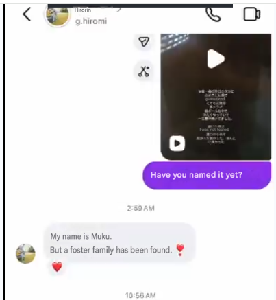 atltaq's tweet photo. She replied to him the name in Japanese

Why would you run it in English?

Also it's not "Muku-kun", it's just "Muku"

Proof:
https://t.co/0plo106nJ7 https://t.co/L2uwEw6rqP