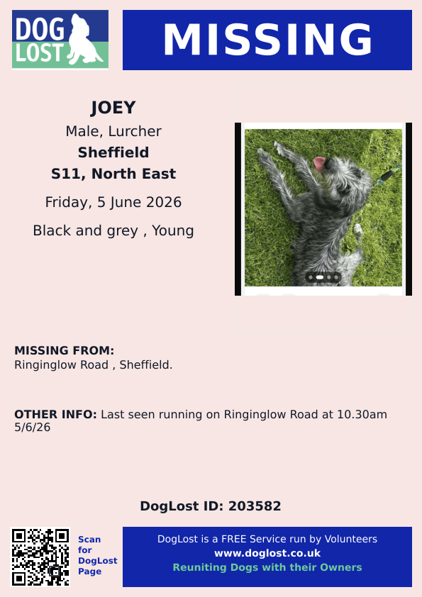 MissingPetsGB's tweet photo. 🐕 Please share to help find JOEY
He went missing earlier today 5 June 2026 from Ringinglow Road #Sheffield #Derbyshire Dales #S11
Joey is a young lurcher, microchipped, do not chase if seen 🙏 https://t.co/3AI9SxwvoE https://t.co/1eEuu0O3aF