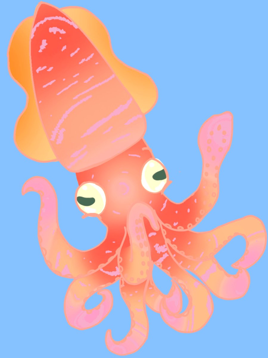 SuiTheSquid's tweet photo. Simple coloring of Sui the Squid my oc! Love this lil guy he's so silly. https://t.co/2jvPZEkMC2