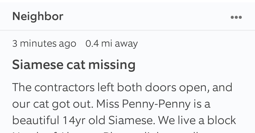 HHHuxtable's tweet photo. I've said it before, and I'll say it again. There's no such thing as a missing cat. 
They know exactly where they want to be 😼 https://t.co/5jJtuENmSW