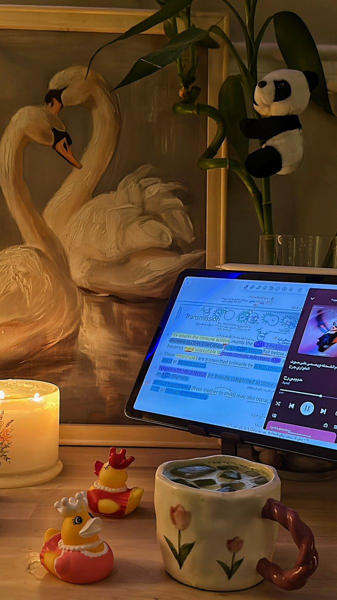 ro5lc's tweet photo. Late night study session .. 🕯️⏳ https://t.co/bg6PgQ1enY