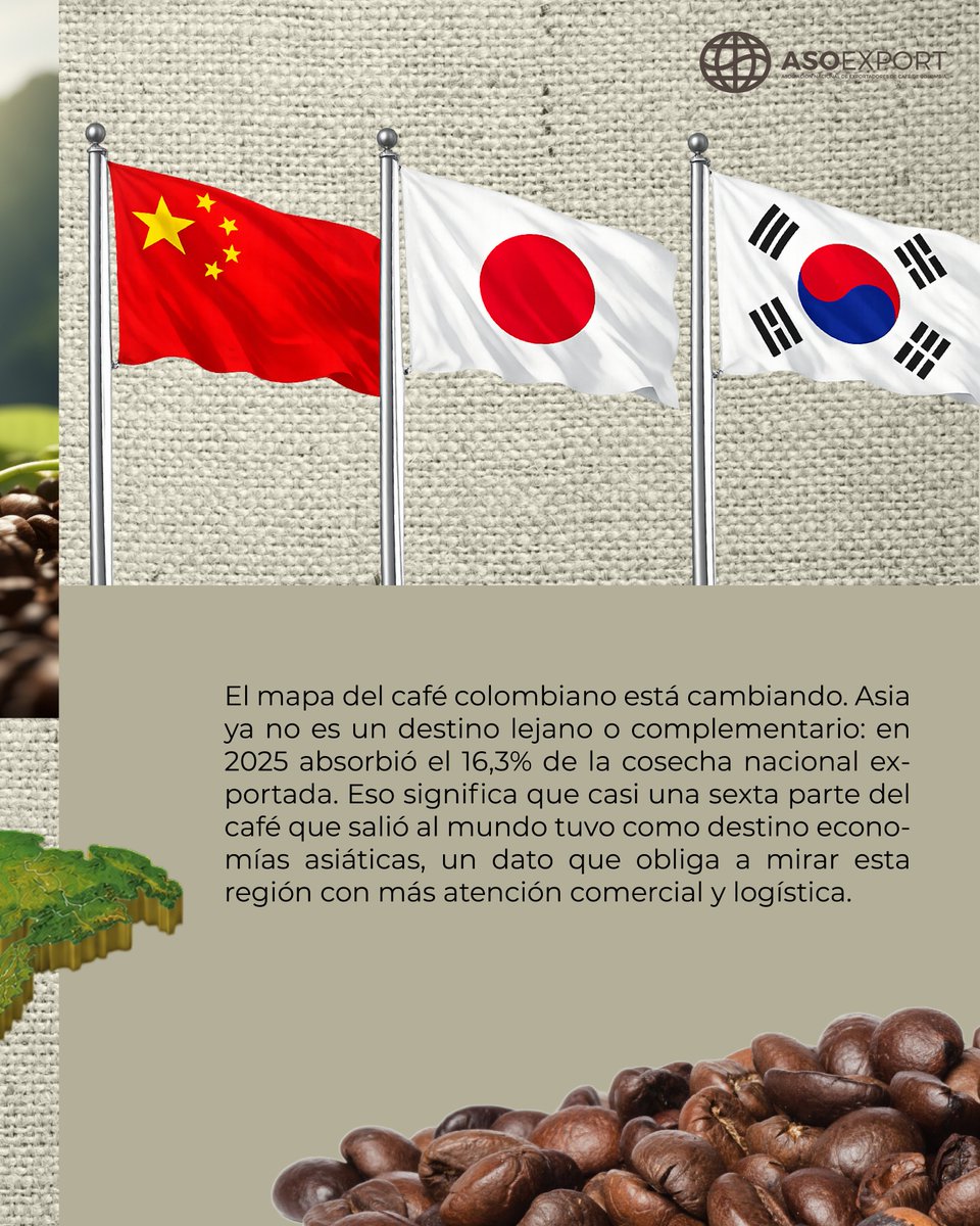 asoexport's tweet photo. En 2025, el 16,3% de las exportaciones de café del país llegaron a mercados asiáticos, consolidando una región que hoy representa nuevas oportunidades comerciales, desafíos logísticos y una mayor diversificación para el sector.

https://t.co/6K6QhDE7X3 https://t.co/N2ZtXxiW1C