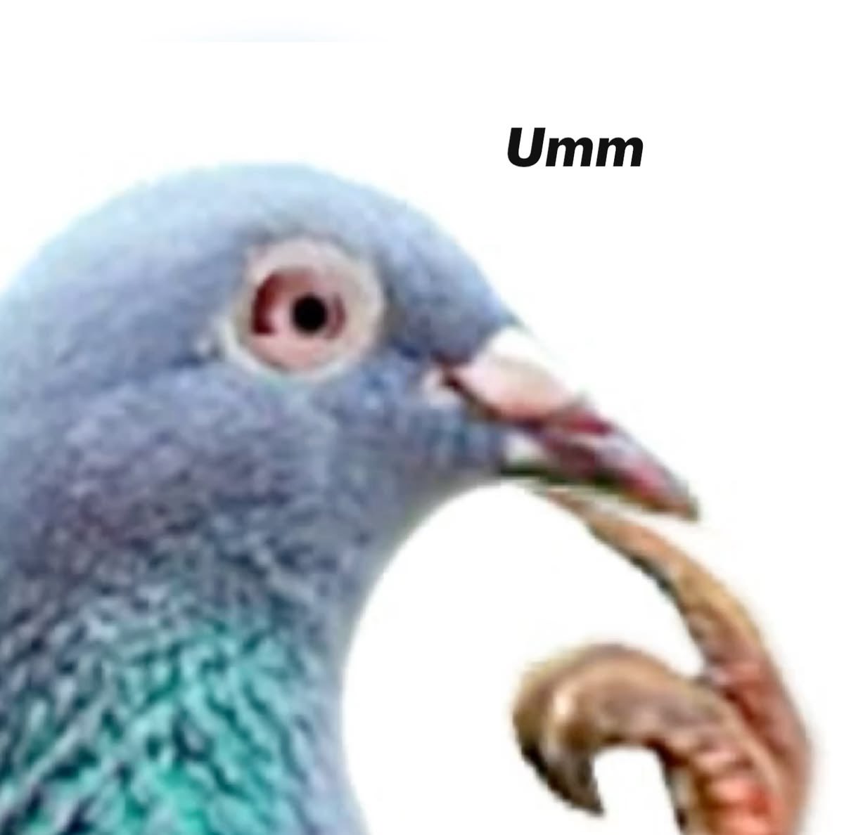 sorryimscience's tweet photo. @AbaiGiven84044 me when i get caught spreading misinformation https://t.co/x4dHFelQLg