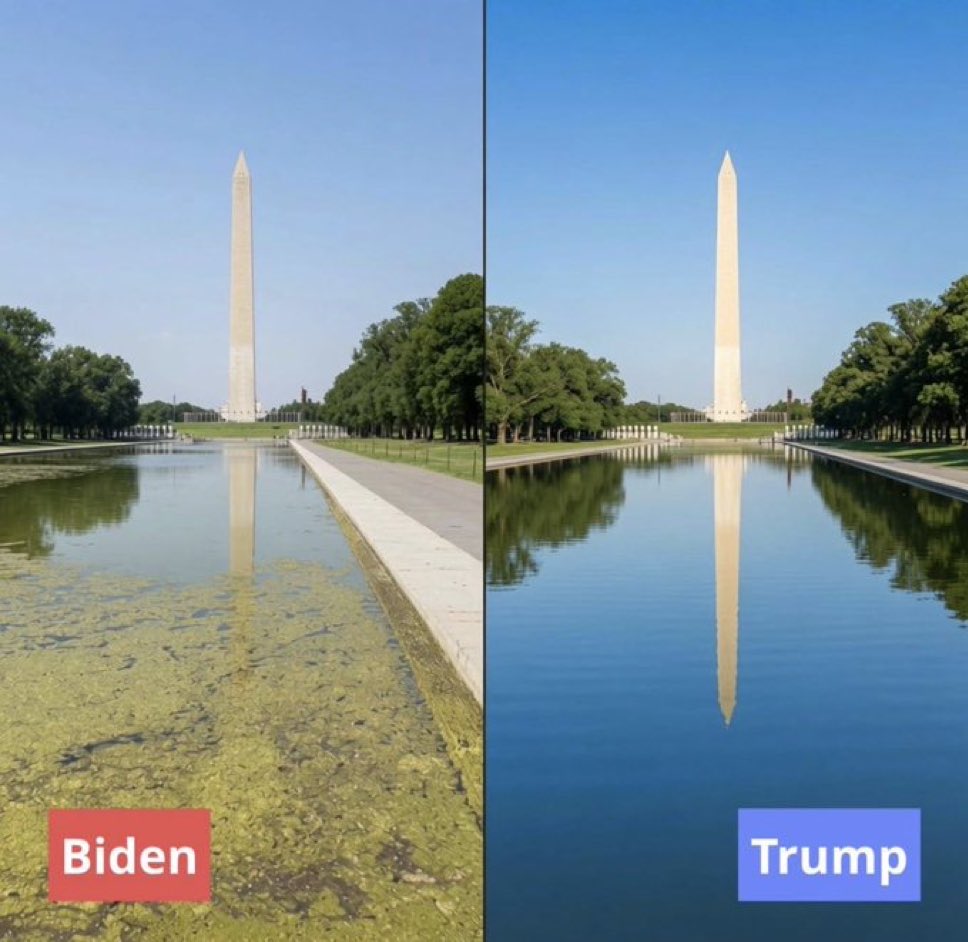 ProudElephant's tweet photo. It’s beautiful! 🇺🇸🇺🇸🇺🇸 https://t.co/jdBWtzag3e