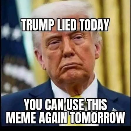 shep_fem's tweet photo. @nicksortor Don't know what's worse the dementia blabbering stories or you people that parrot them. https://t.co/DnKbJOlihe