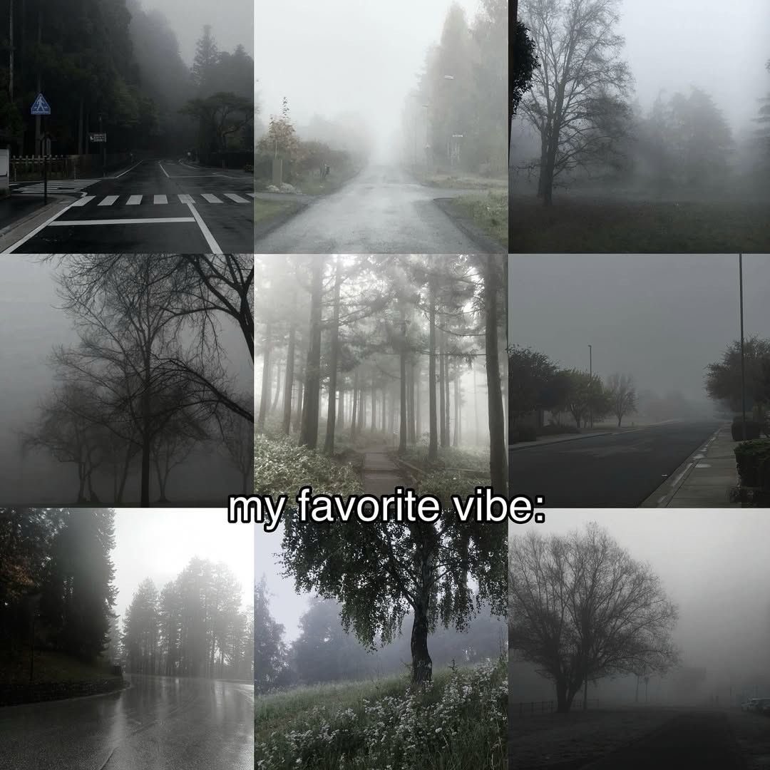⛆ 🌧️ ⛆ tweet media