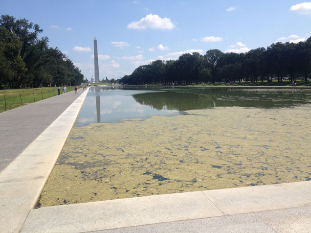StrafeRunner's tweet photo. @JayVTheGreat Looks much better than the brownish green algae clogged water of the Reflecting Pool under 0bama and Biden.

But TDS haters gotta hate everything Trump, no matter what, when or how. https://t.co/Dglt0mRYMm