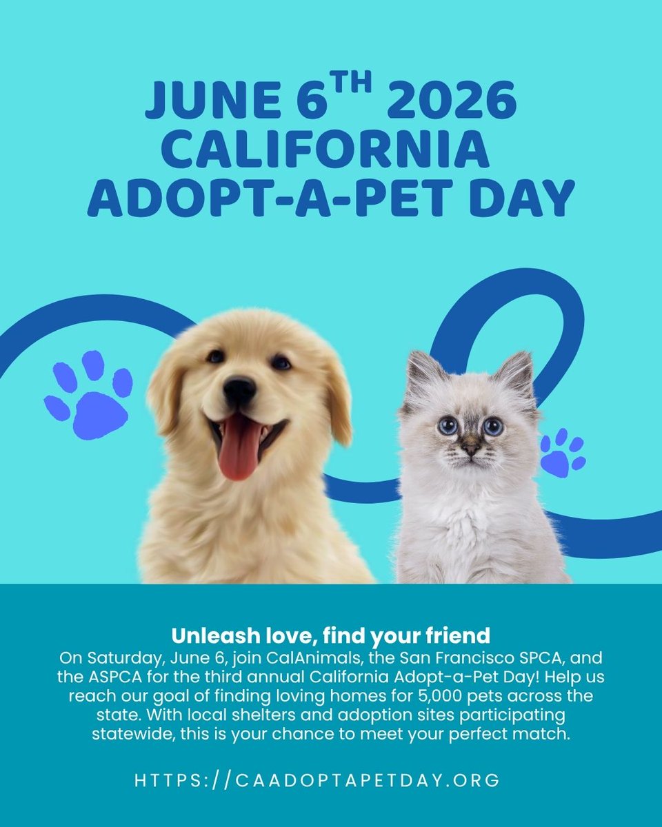 tnrstrong's tweet photo. 🐾 Today is California Adopt-a-Pet Day! 🐾

Stray Paws Animal Haven isn't a rescue and we don't take in or adopt out animals, but we proudly support adoption and the shelters and rescues helping pets find loving homes.

#CAAdoptAPetDay #caadoptapetday #AdoptDontShop https://t.co/Hpte1GaXAY