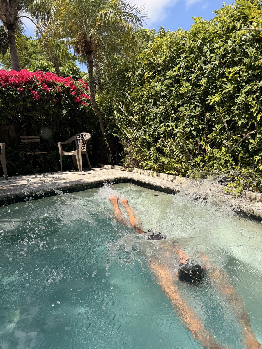 karoline_deleon's tweet photo. 🥭🧚‍♀️🏝️🌺🌴🌀🦜🍍 https://t.co/VJCL4IWc3k
