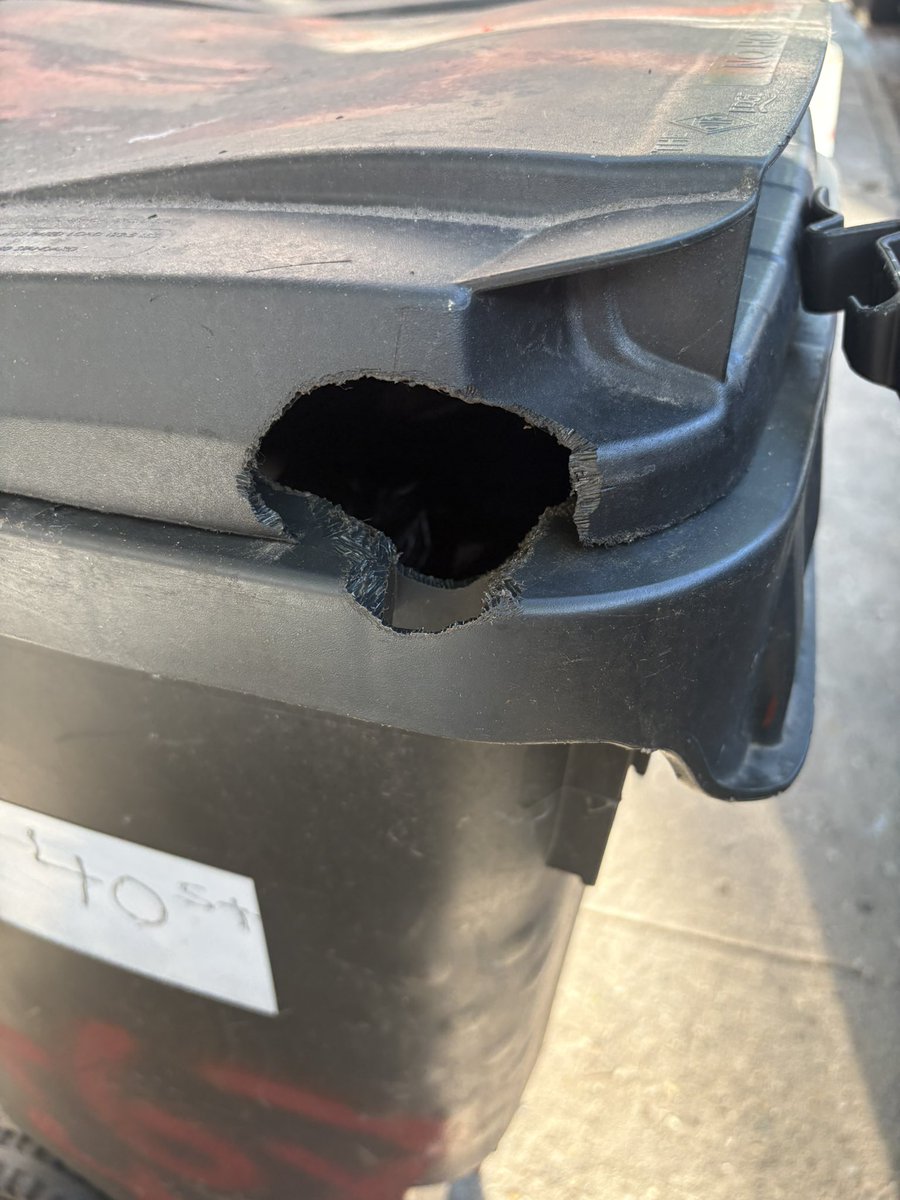 MsStefaniTV's tweet photo. We were told by @NYCSanitation that rats wouldn’t get in, but this is proof of their determination to get to the garbage. https://t.co/ODMzftTYWo