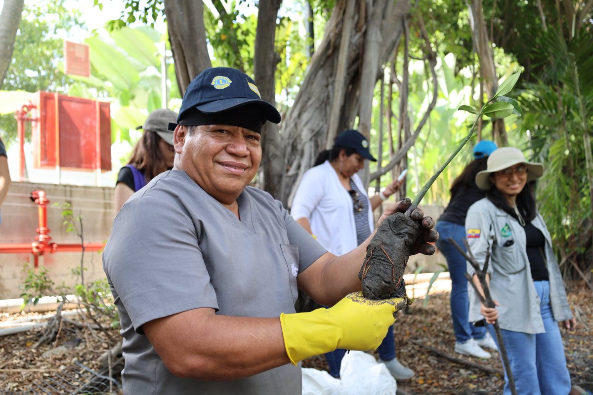 CI_Ecuador's tweet photo. Hoy nos sumamos a la limpieza y reforestación con 205 mangles🌱 en un ramal del Estero Salado junto a @MAATE_Zonal5, @UnivEcotec, sector privado y academia.

Una jornada que fortaleció la conciencia ambiental: semilla de toda acción climática

#DíaMundialDelAmbiente
#PorElClimaYa https://t.co/ksViA2oq7j