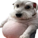 ratonxz's tweet photo. https://t.co/FZ2SMvSFFV