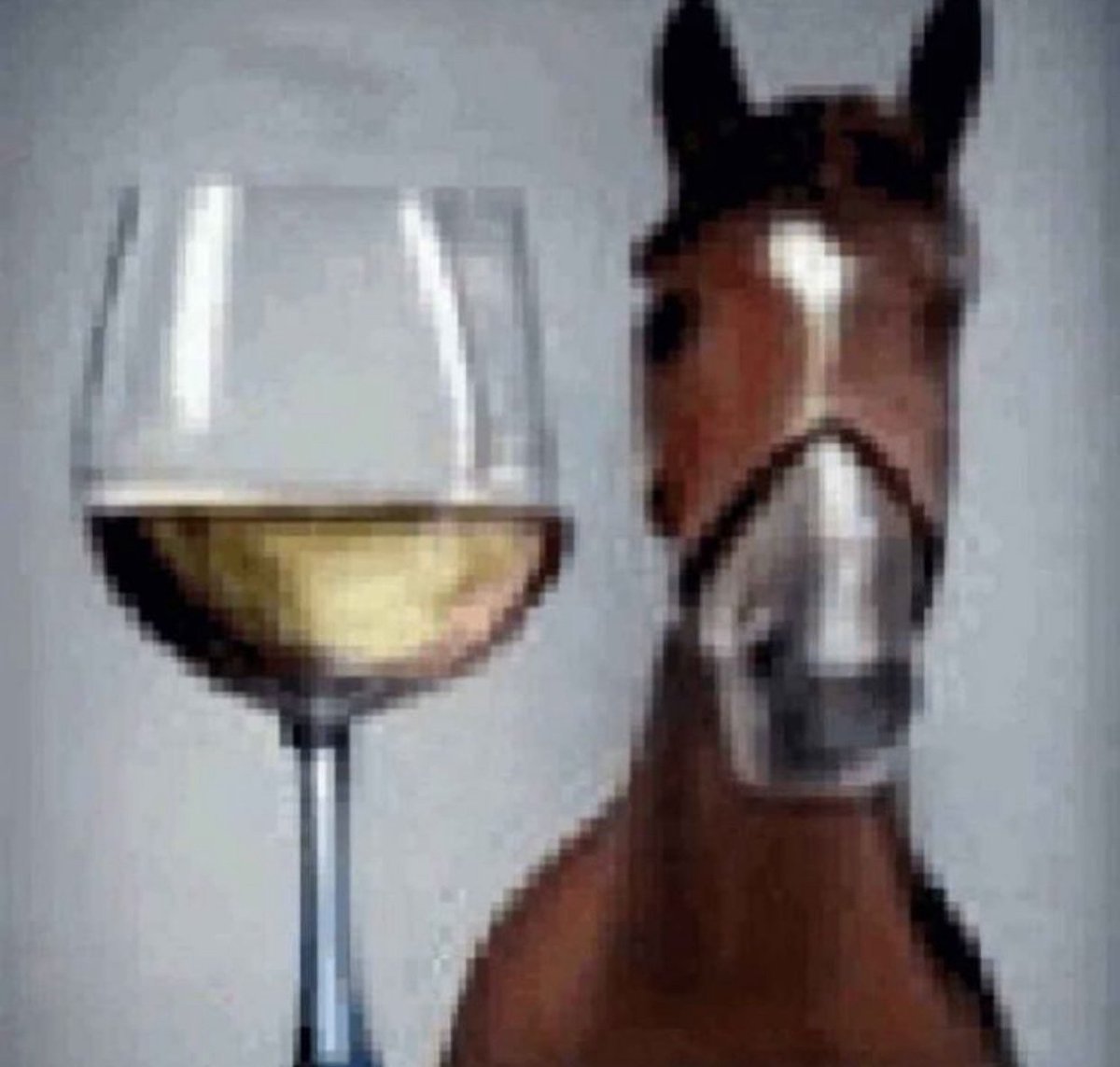 Horse tweet media