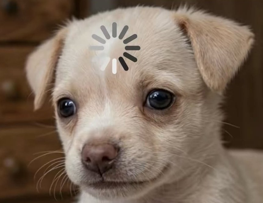 CltouMozao's tweet photo. Minha namorada dia 12: Trouxe o que pra mim do dia dos namorados?

Eu: https://t.co/Kpb7aQk4jN