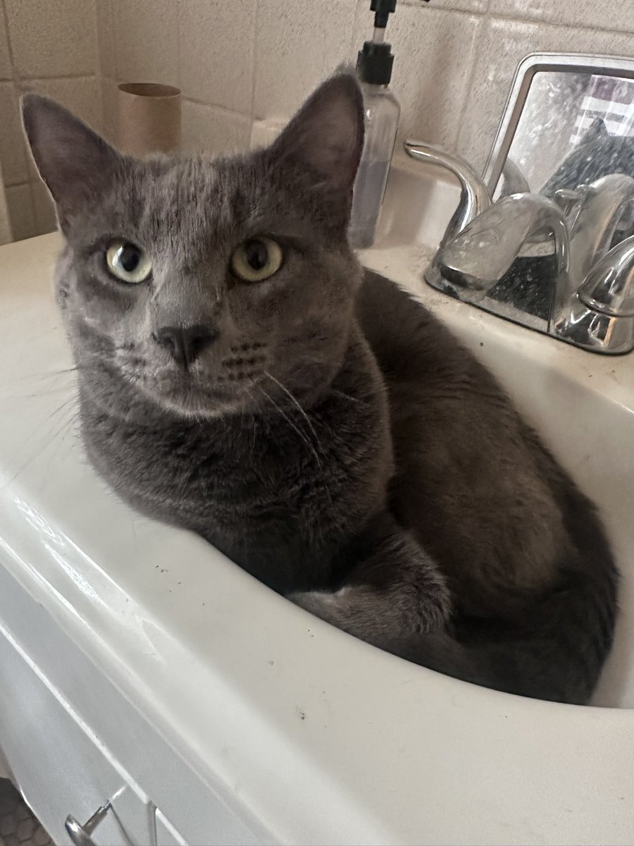 Oceanooes's tweet photo. Tundra in a tub! https://t.co/iB33dCkbrv