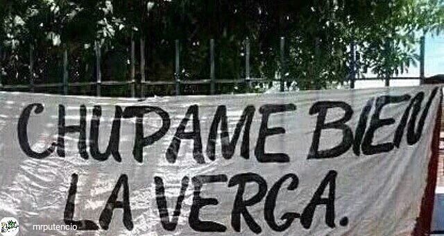 P_220384's tweet photo. @sudakafraca @talvezsoyabril https://t.co/rVP183G7vi