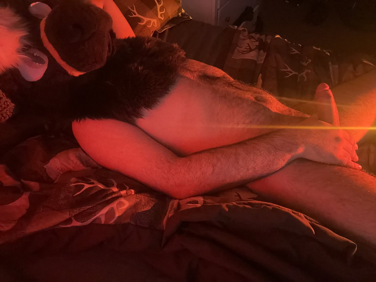 JavierAD25's tweet photo. If only someone could make my life more fun~ #murrsuit #furryAD https://t.co/UST8FRYveF