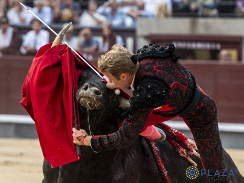 altoromexico_'s tweet photo. Destaca el francés Clemente en Las Ventas
https://t.co/qwCbZR4f1f https://t.co/HHXNu53896
