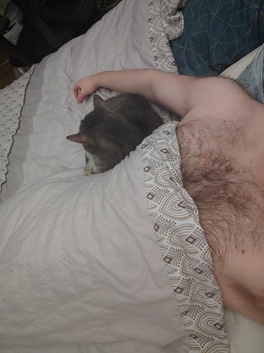 Feurolex's tweet photo. Mr kitty picture dump ≽^•⩊•^≼ https://t.co/an3JGHe3QE