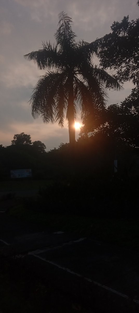 KconkProgresive's tweet photo. Semangat pagi! Salam sehat...

Setorun Sabtu pagi 🏃‍♀️🏃‍♂️🏃 https://t.co/v8OU2QRzPR