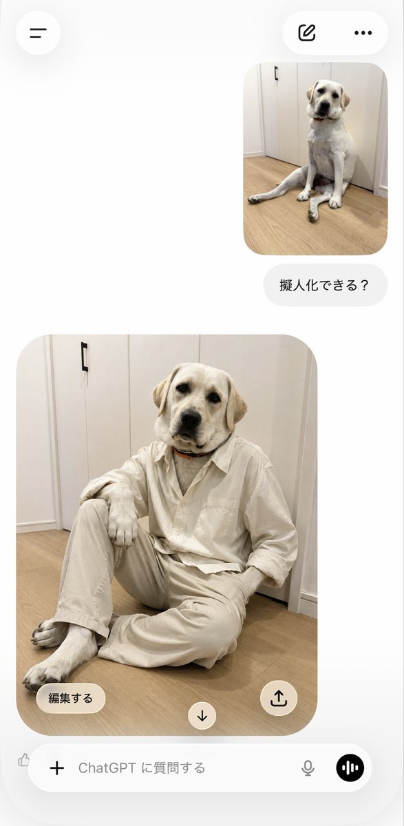 mana__iu's tweet photo. 違うそうじゃない https://t.co/r5pbJIsuZ9