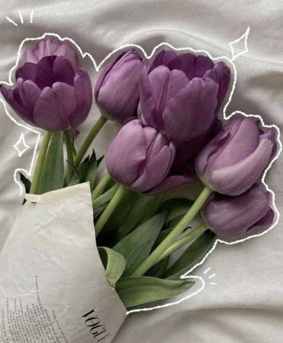 inspitional's tweet photo. 🌤️ สวัสดีวันเสาร์💜

Good Morning ☕✨
おはようございます 🌸

ขอให้เป็นวันหยุดที่สดใส กินของอร่อย 
พักผ่อนเยอะ ๆ และเจอแต่เรื่องดี ๆ นะ 🐰🌷

#มอนิ่ง #สวัสดีวันเสาร์ #GoodMorning #おはよう #土曜日 #WeekendVibes #MorningMood https://t.co/CYPflJOAAX