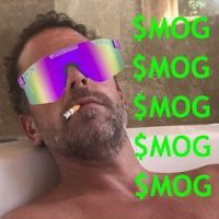 dvinity_up's tweet photo. @HunterBiden @SoundDobad Mog 🫵😹 https://t.co/VqXRhvSYL1