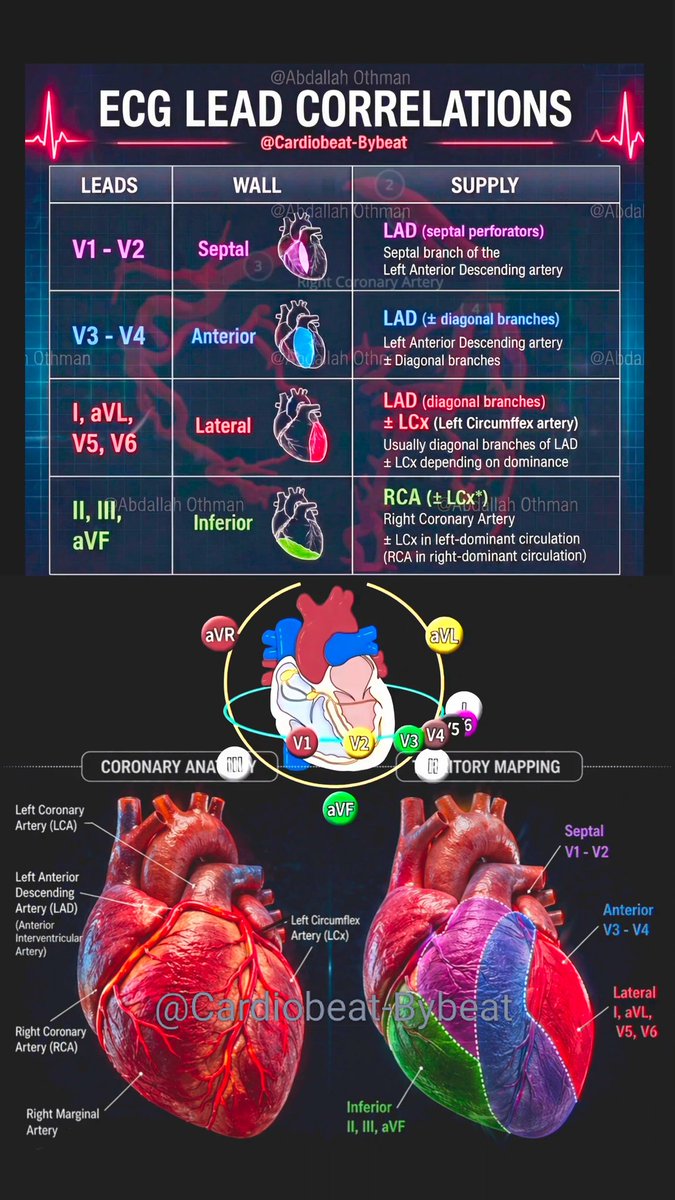 CardioBeat_'s tweet photo. https://t.co/f0ovMyslTi
ECG Lead Correlations infographic. ✨
Precise lead-to-wall-to-artery mapping, clear coronary dominance insights, and clinical correlations — all in one stunning visual. 📊❤️
#ECG #Cardiology #STEMI #MedicalEducation #CardioTwitter https://t.co/APXQ5aEicD