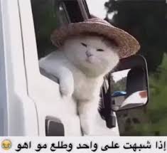 Sakugaky's tweet photo. بايونيتا؟ https://t.co/TlDkeDwvkf