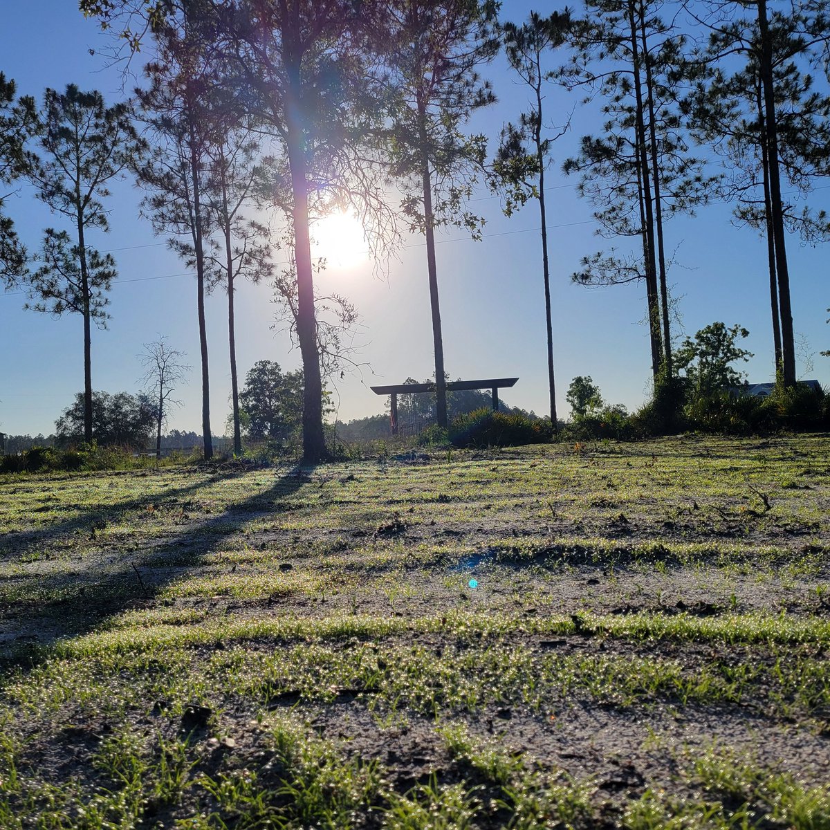 dangerbarrow's tweet photo. Thirty days ago this was bare dirt.

Today, after some hard work, lots of seed, and a little faith, the first blades of grass are breaking through.

It's a good reminder that progress isn't always visible at first. Growth takes time, but the results will come. https://t.co/i8Hj6sWP2a