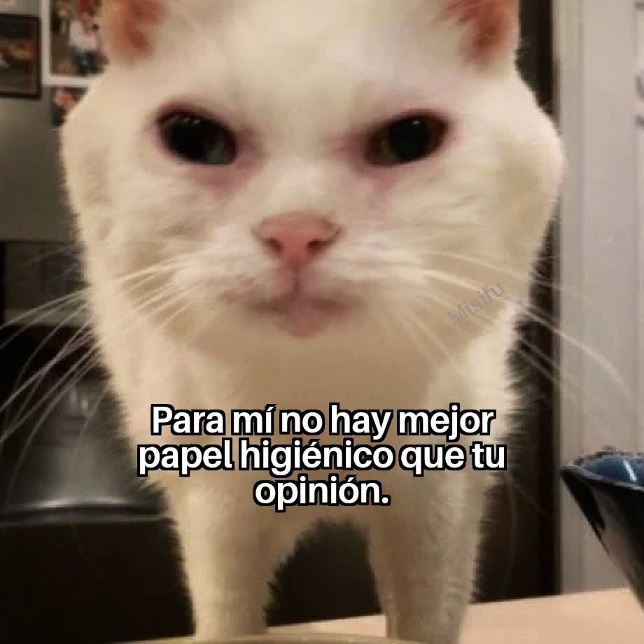 angelo_uf's tweet photo. https://t.co/lDxolU1DNr