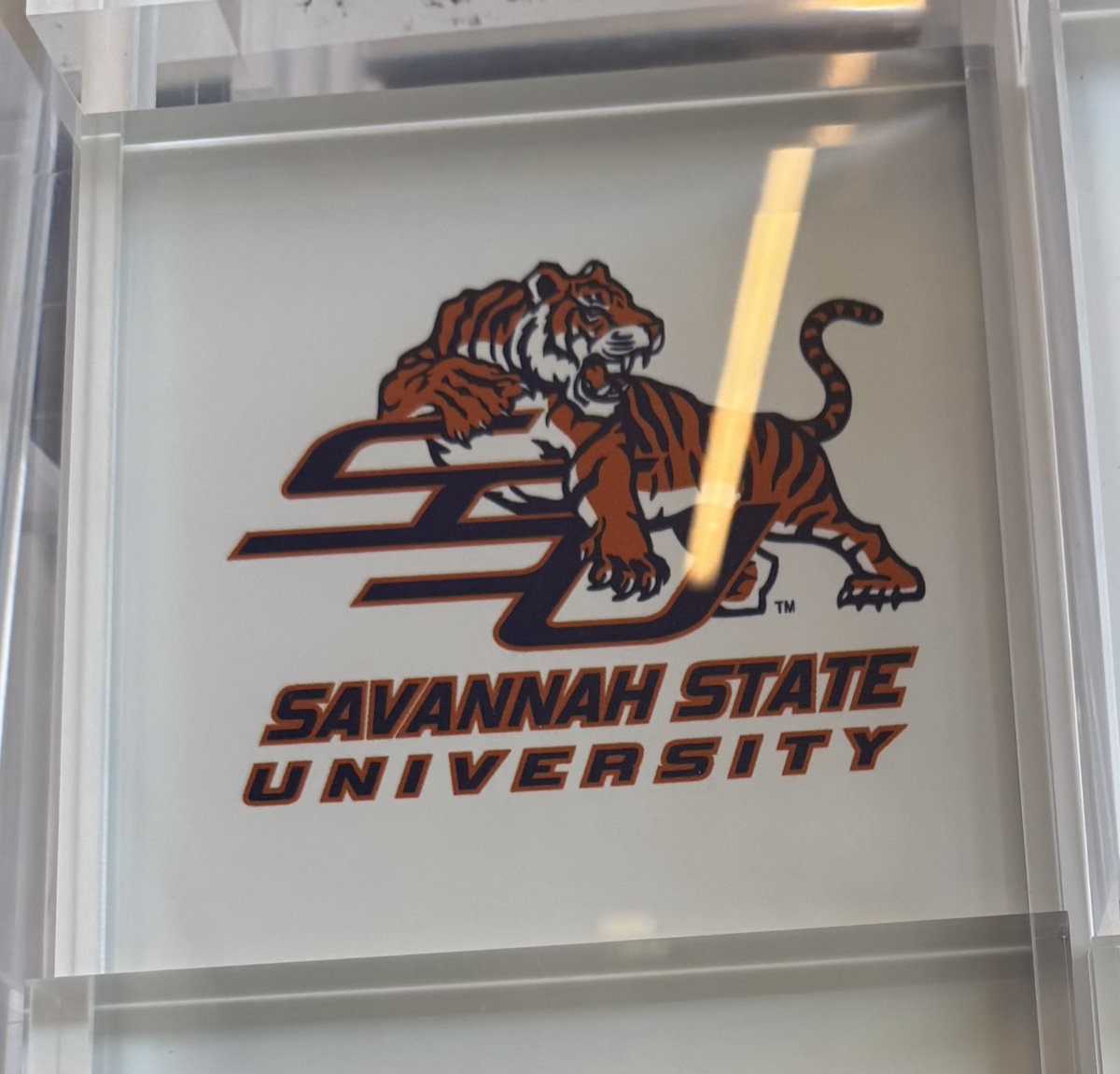 SavStateTigers tweet picture