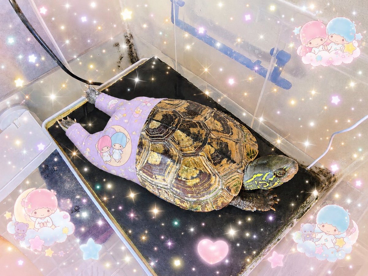 kusagame29's tweet photo. ふみちゃん、ヨガパンツはいたよ～。
そんで、キキララっぽいの足して、キラキラ足してもらった✨ https://t.co/qb7a1G2psz