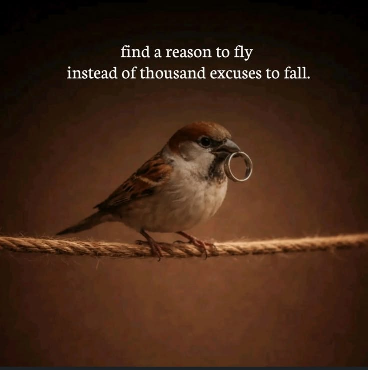 Mindful Maven tweet media