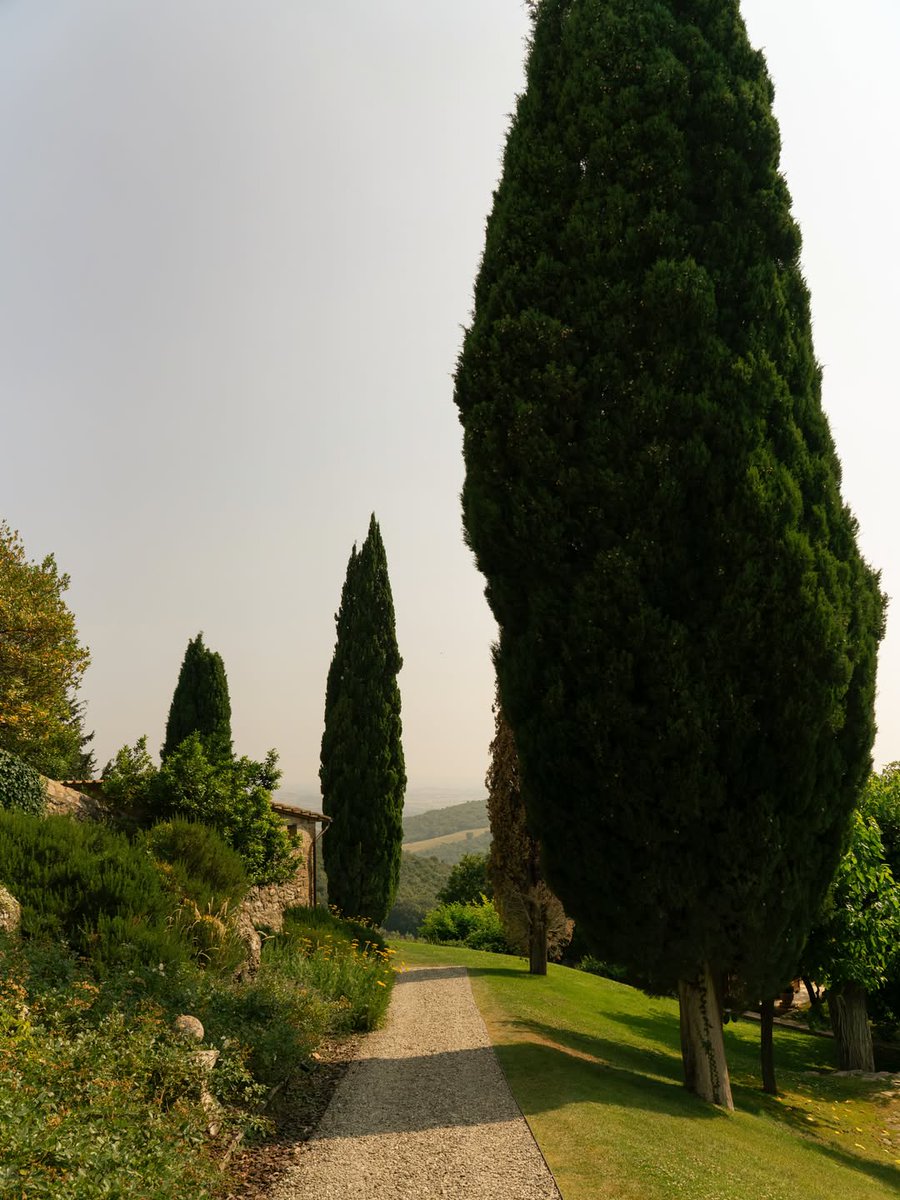 echoesofworld's tweet photo. Tuscany, Italy https://t.co/IQNjv5h9TY
