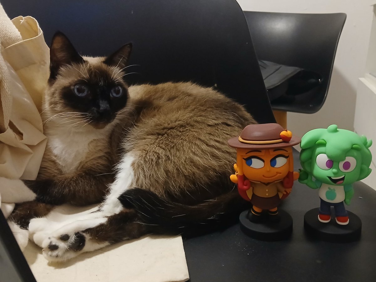 acervotorassy's tweet photo. sessão de fotos deles & com meus gatos (♡ˊ͈ ꒳ ˋ͈) #torassy #torapessy #pessytora https://t.co/MNgnKdfHA8