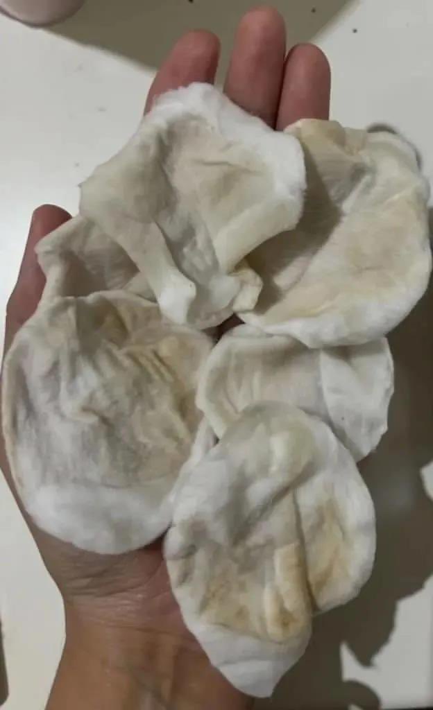 xurentpost's tweet photo. manfaat glycolic acid ini memang gausah diragukan lagi guys😍😍

https://t.co/3tHGRre7WK
https://t.co/3tHGRre7WK https://t.co/YOdVg3K6Cc