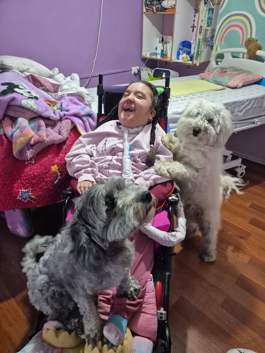 constanza19ti's tweet photo. El dolor de ser mm cuidadora en Chile 💔
Soy mm d Mi hija Dafne tiene 13 años y es  Tetraplejica No camina No se mueve. Depende 100% de mí 24/7 Y del papá Todos los días la levantamos de la cama a la silla ayudemos a compartir para conseguir un tecle por favor  @leonardofarkas https://t.co/QO5ZcjWFgO